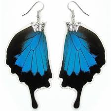 Brazil Jewelry Butterfly Wing